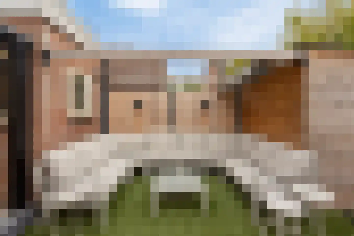 Pioenroosstraat 9 Eindhoven thumbnail 20