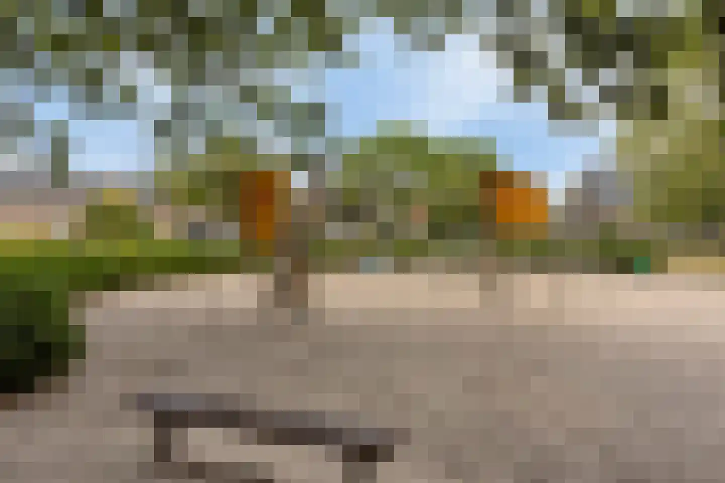 Pioenroosstraat 9 Eindhoven thumbnail 25
