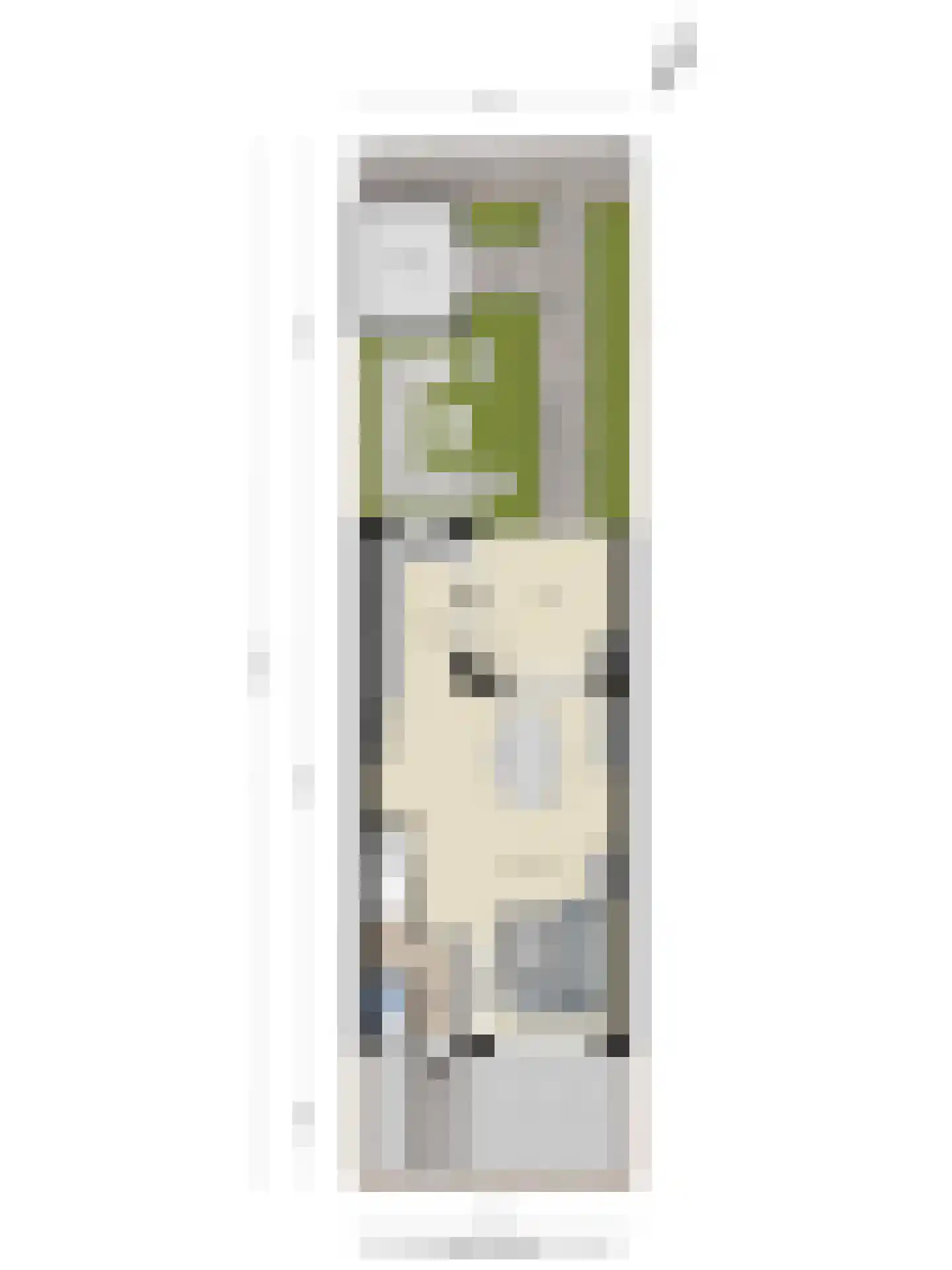 Pioenroosstraat 9 Eindhoven thumbnail 31