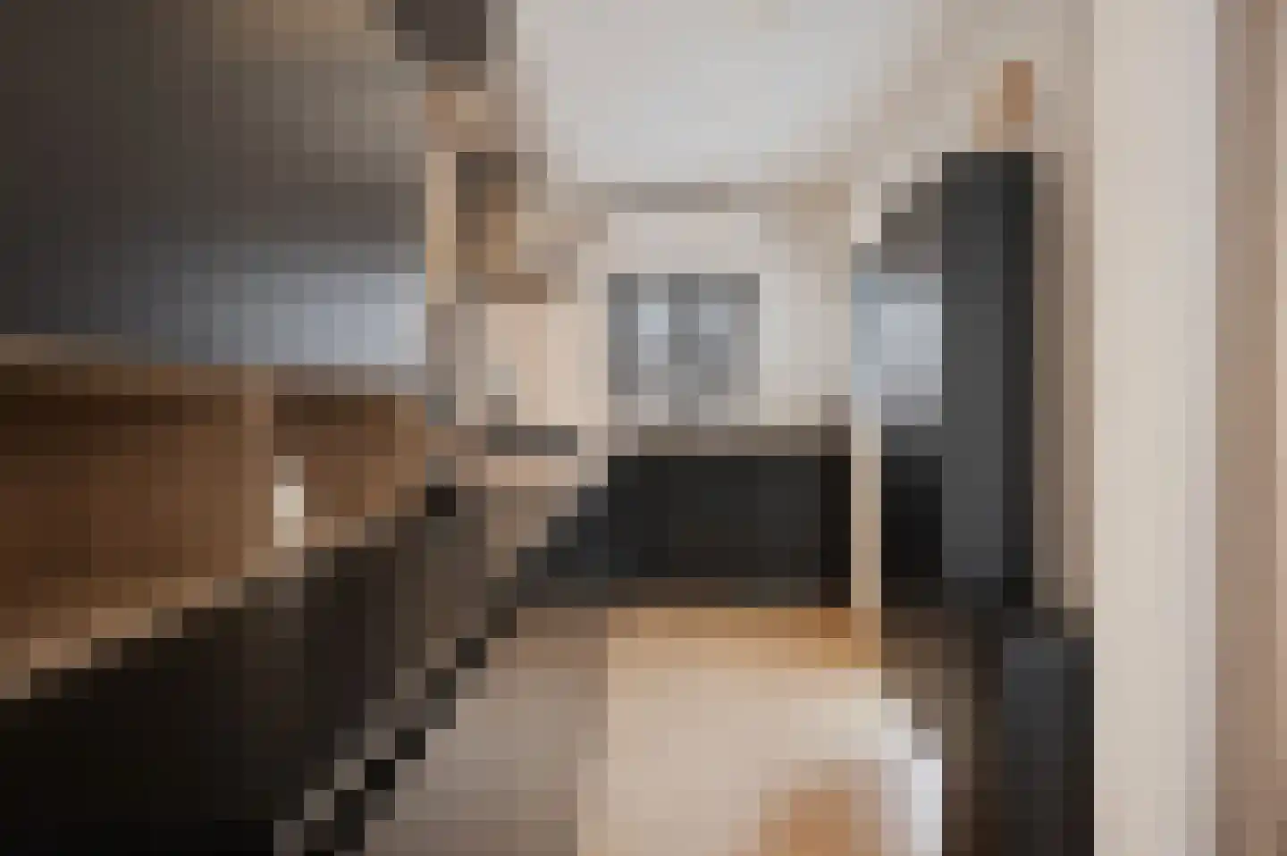 Pioenroosstraat 9 Eindhoven thumbnail 5