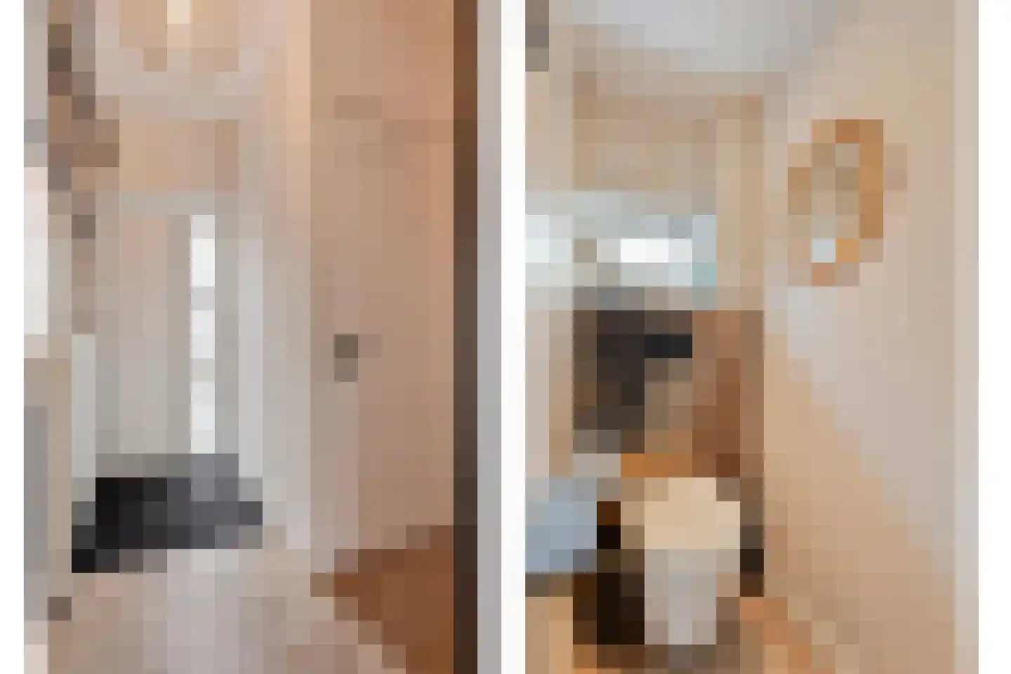 Pioenroosstraat 9 Eindhoven thumbnail 9