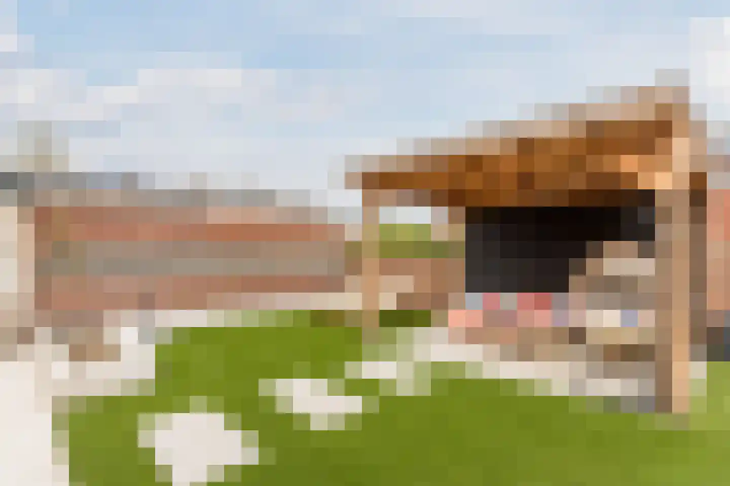 Pioenstraat 10 Made thumbnail 34