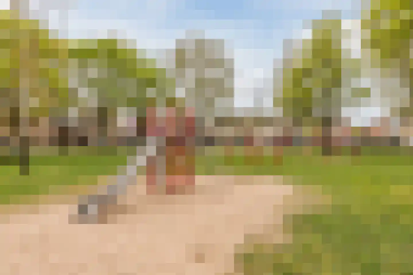 Pioenstraat 10 Made thumbnail 38
