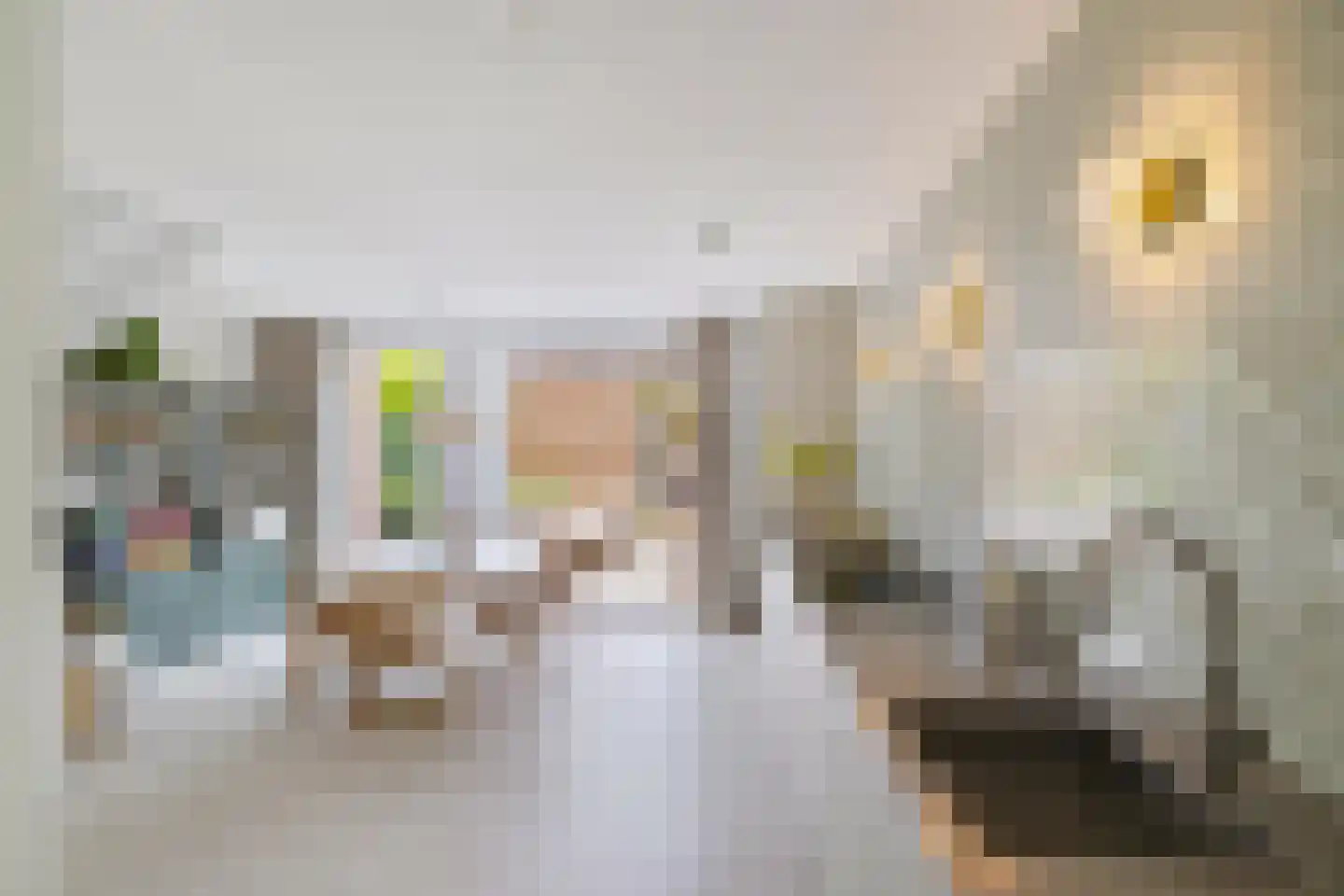 Pioenstraat 187 Groningen thumbnail 10