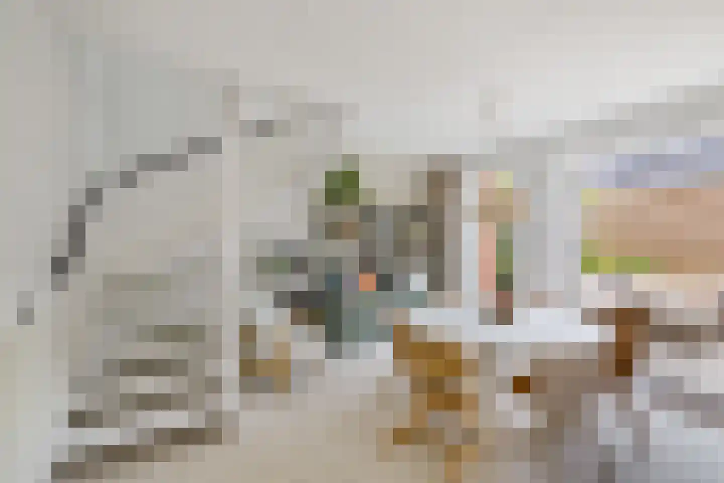 Pioenstraat 187 Groningen thumbnail 12