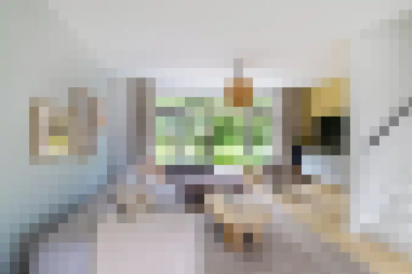 Pioenstraat 187 Groningen thumbnail 13