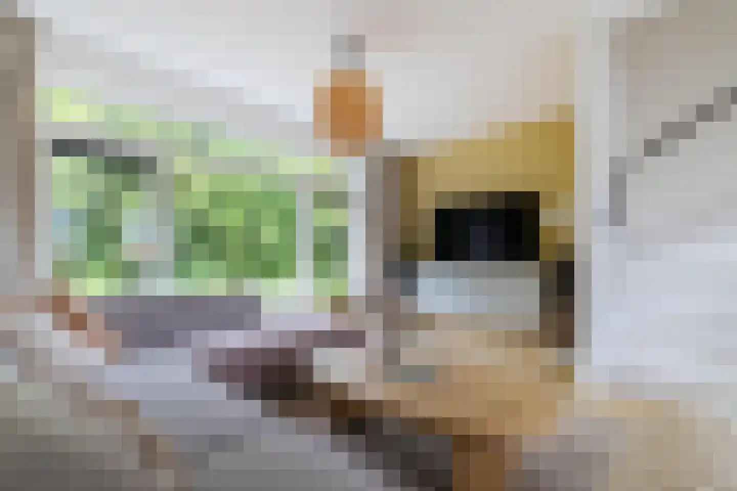 Pioenstraat 187 Groningen thumbnail 17