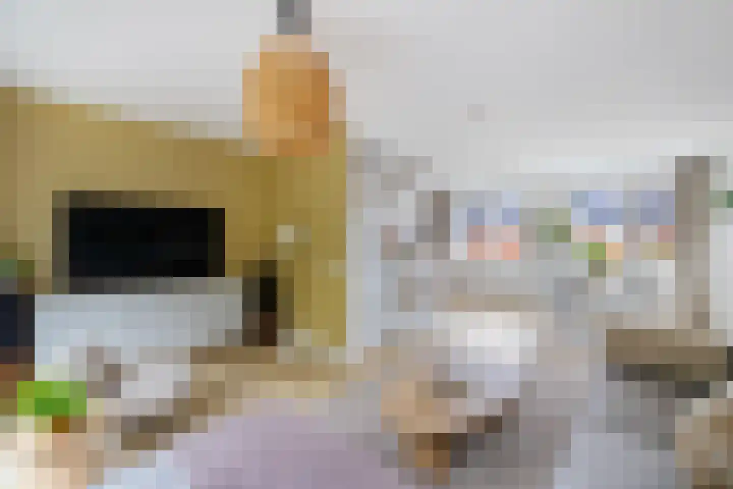 Pioenstraat 187 Groningen thumbnail 18