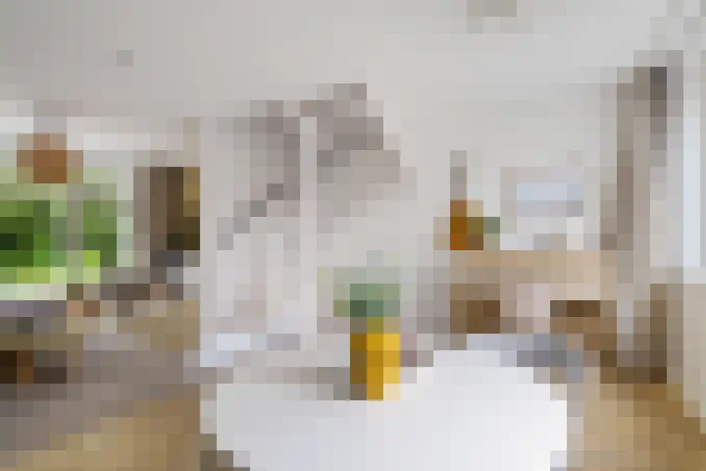 Pioenstraat 187 Groningen thumbnail 23