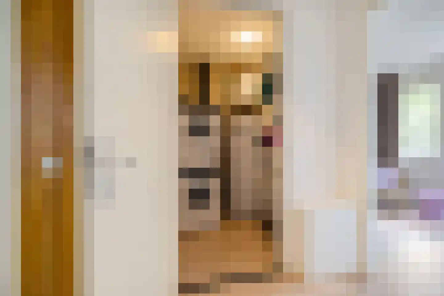 Pioenstraat 187 Groningen thumbnail 43