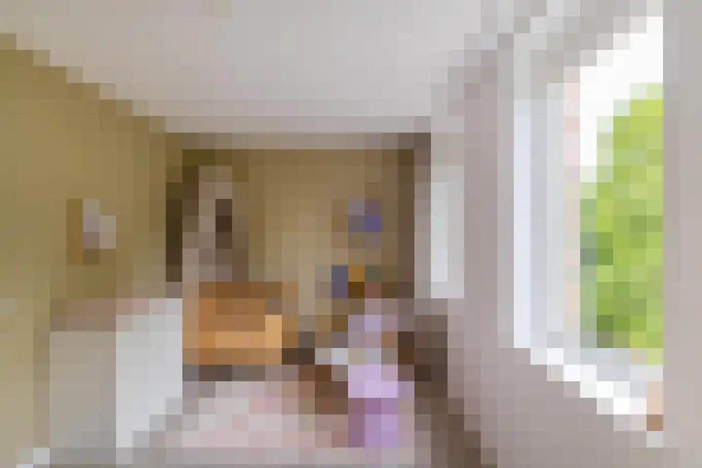 Pioenstraat 187 Groningen thumbnail 44