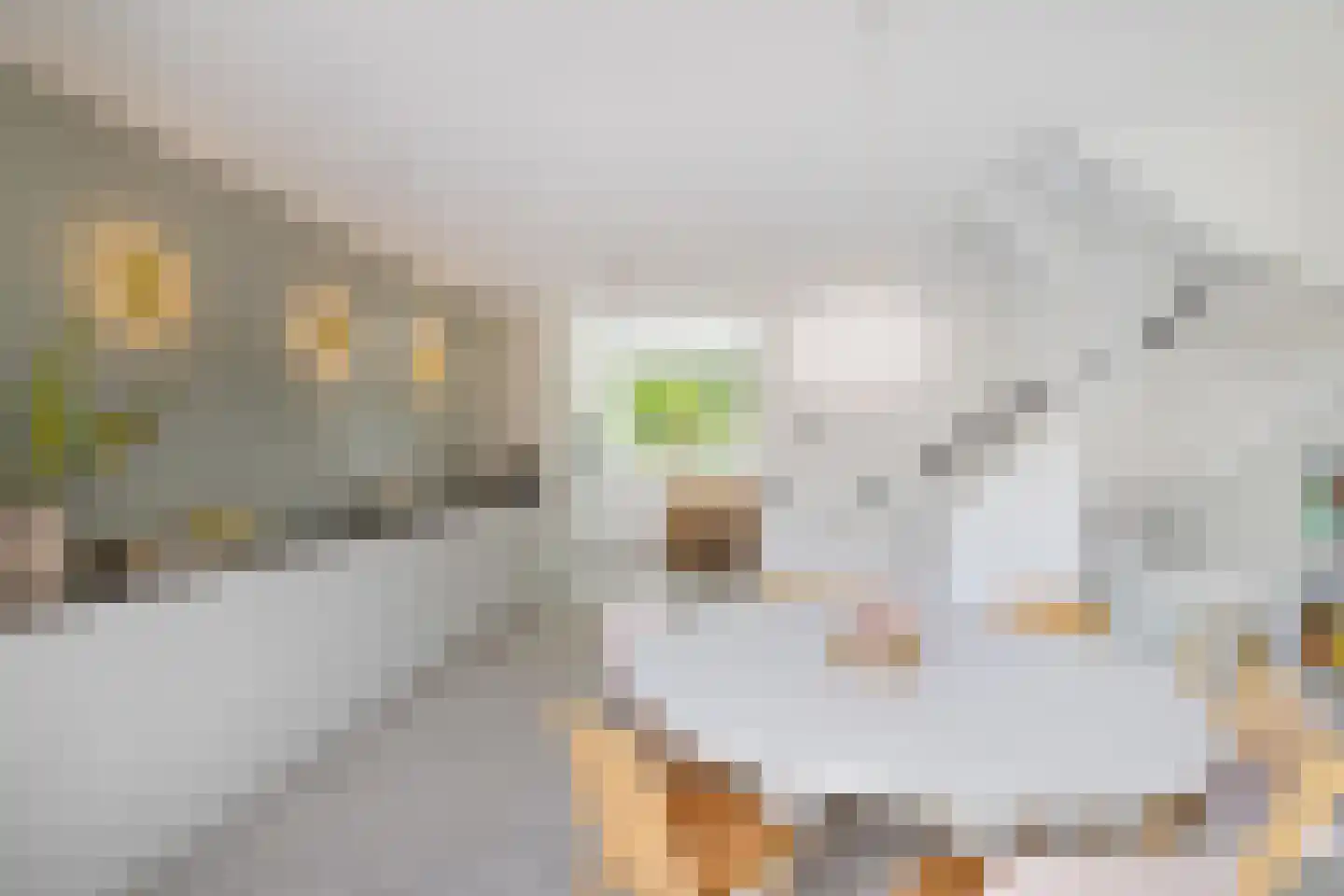 Pioenstraat 187 Groningen thumbnail 5