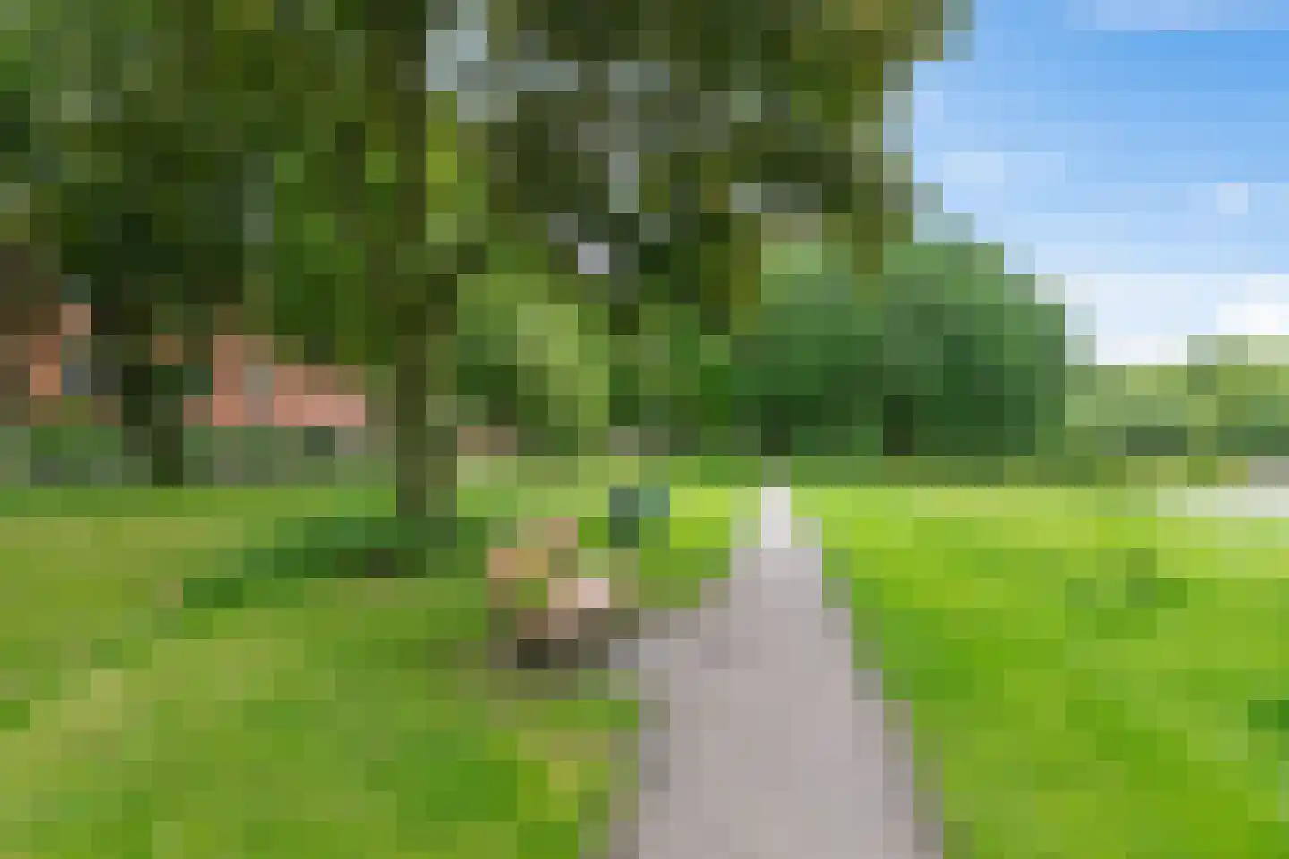 Pioenstraat 187 Groningen thumbnail 52