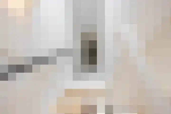 Pioenstraat 19 Groningen thumbnail 20