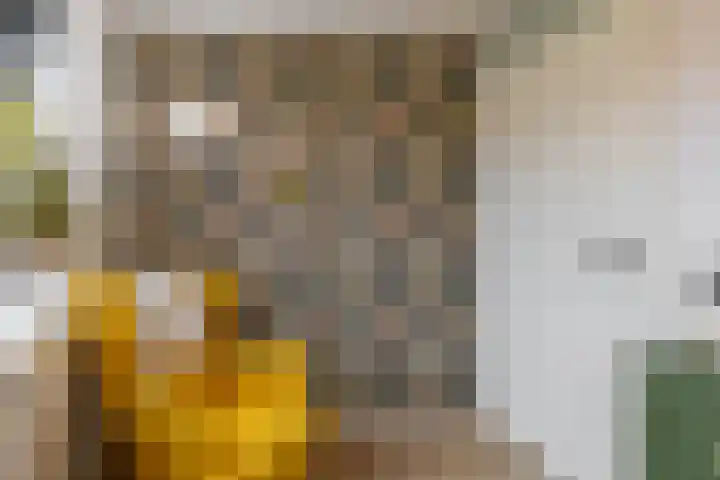Pioenstraat 19 Groningen thumbnail 22