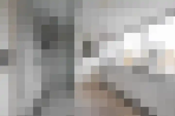 Pioenstraat 19 Groningen thumbnail 32