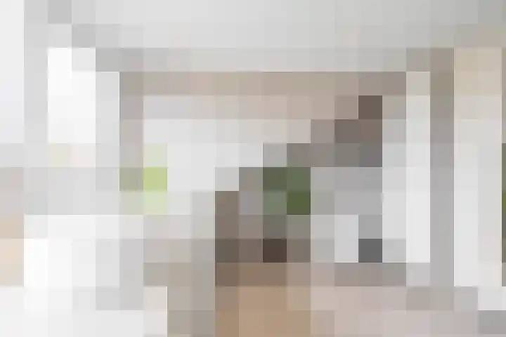 Pioenstraat 19 Groningen thumbnail 33
