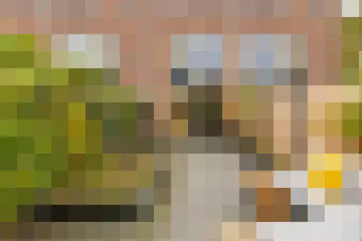 Pioenstraat 19 Groningen thumbnail 34