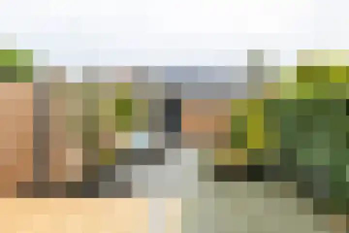Pioenstraat 19 Groningen thumbnail 35