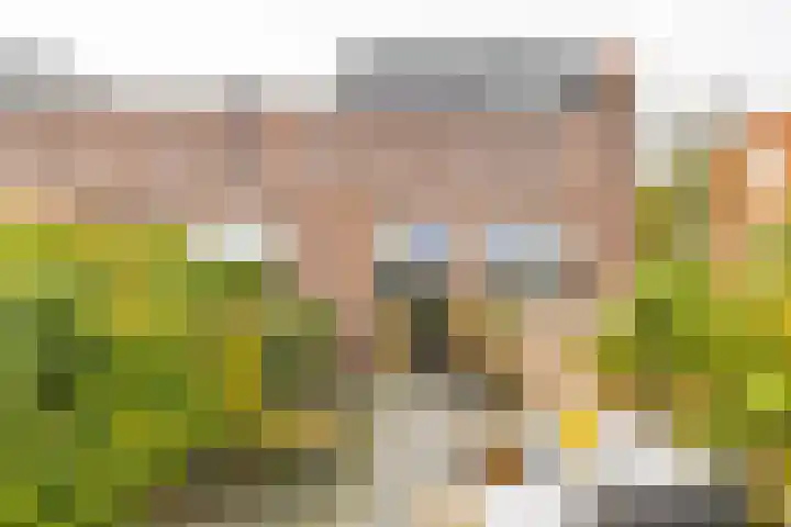 Pioenstraat 19 Groningen thumbnail 37