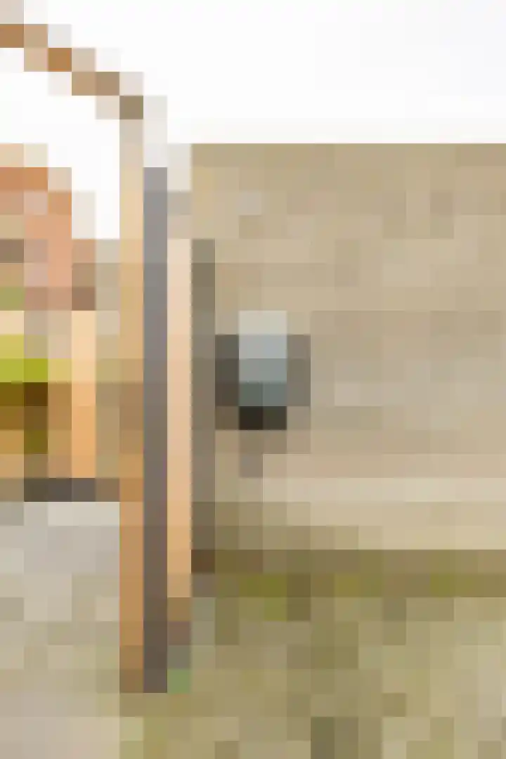 Pioenstraat 19 Groningen thumbnail 40