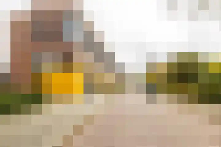 Pioenstraat 19 Groningen thumbnail 41