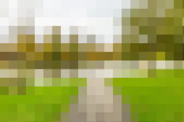 Pioenstraat 19 Groningen thumbnail 46