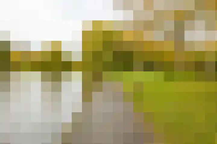 Pioenstraat 19 Groningen thumbnail 47