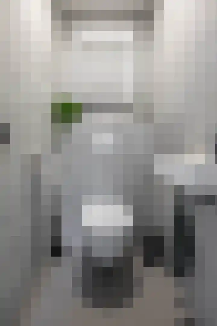 Pioenstraat 19 Groningen thumbnail 7