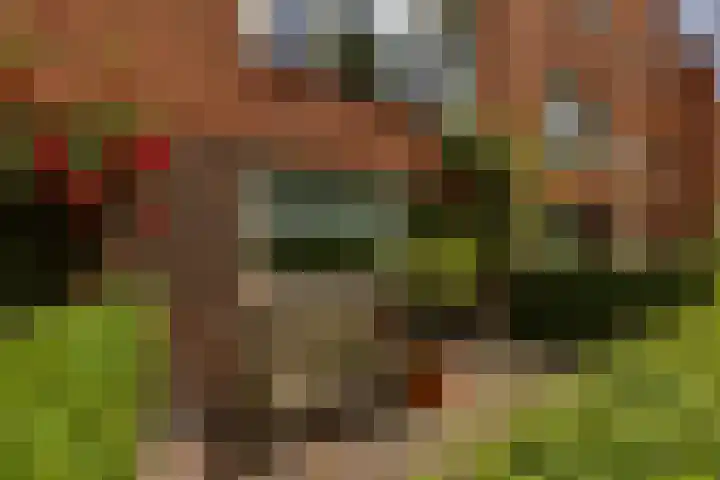 Pioenstraat 193 Groningen thumbnail 8