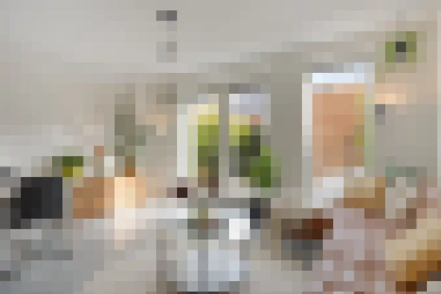 Pioenstraat 194 Groningen thumbnail 19