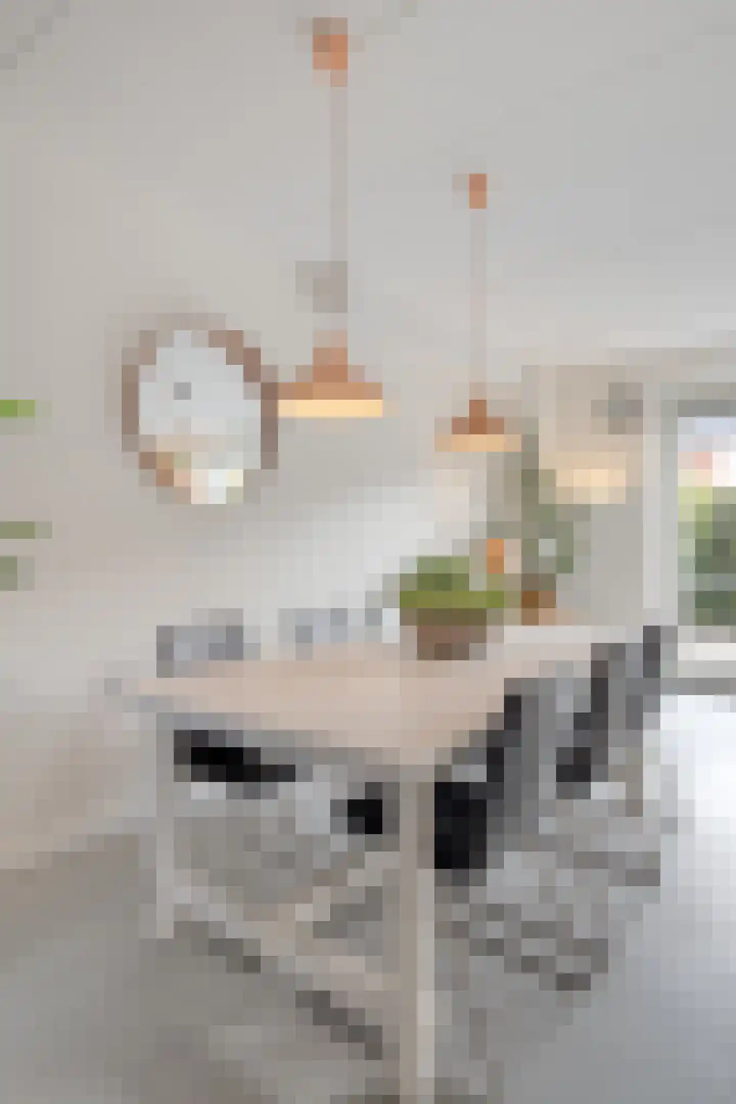 Pioenstraat 194 Groningen thumbnail 22