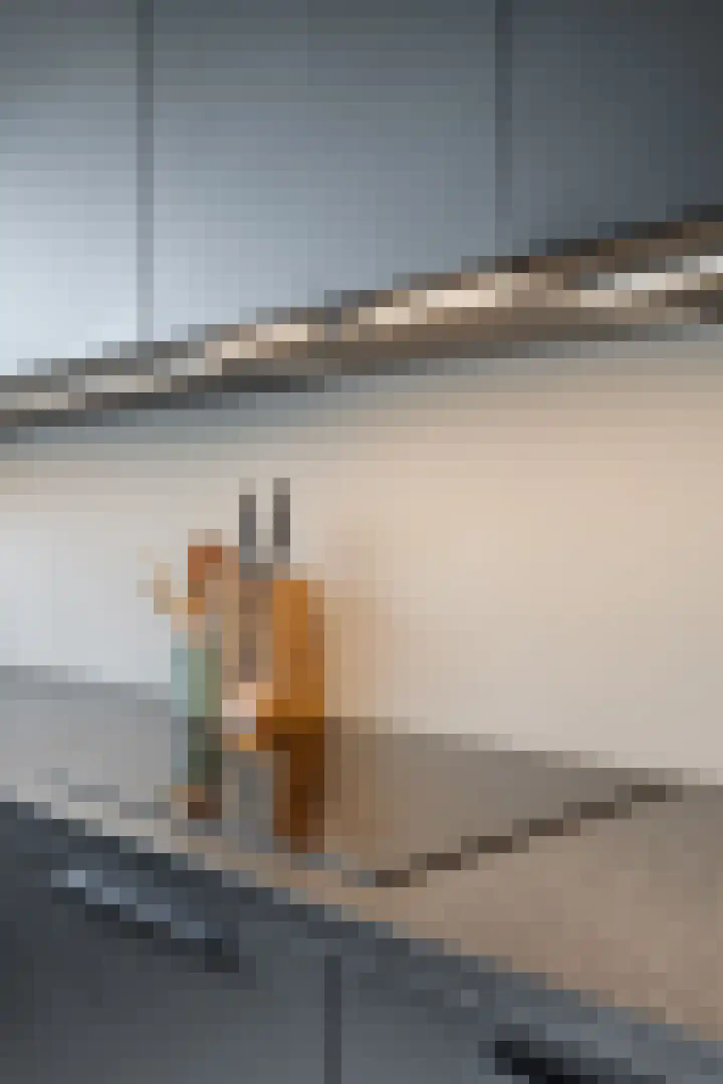 Pioenstraat 194 Groningen thumbnail 30
