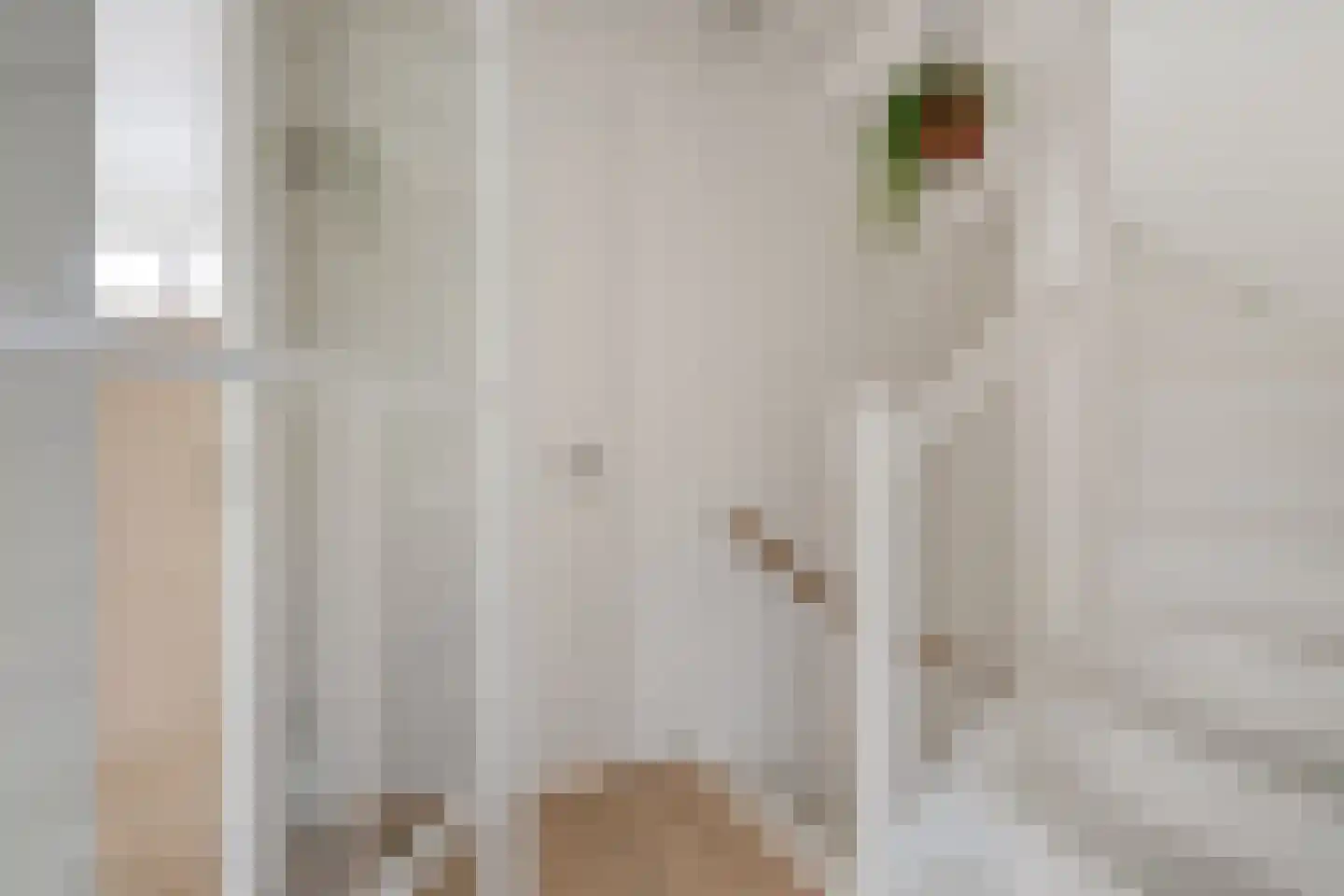 Pioenstraat 194 Groningen thumbnail 31