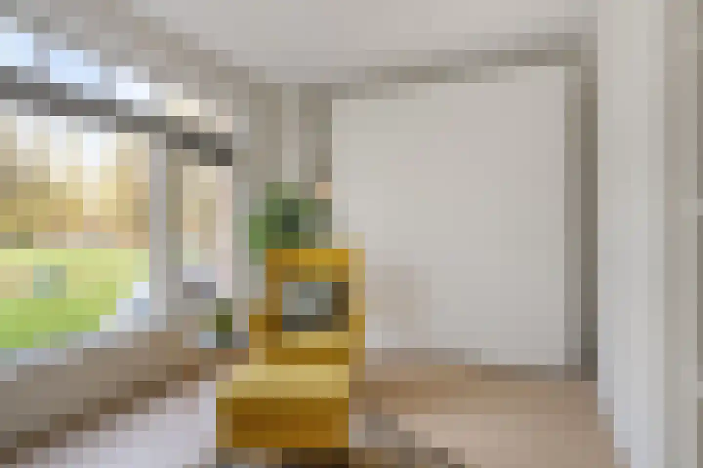 Pioenstraat 194 Groningen thumbnail 33