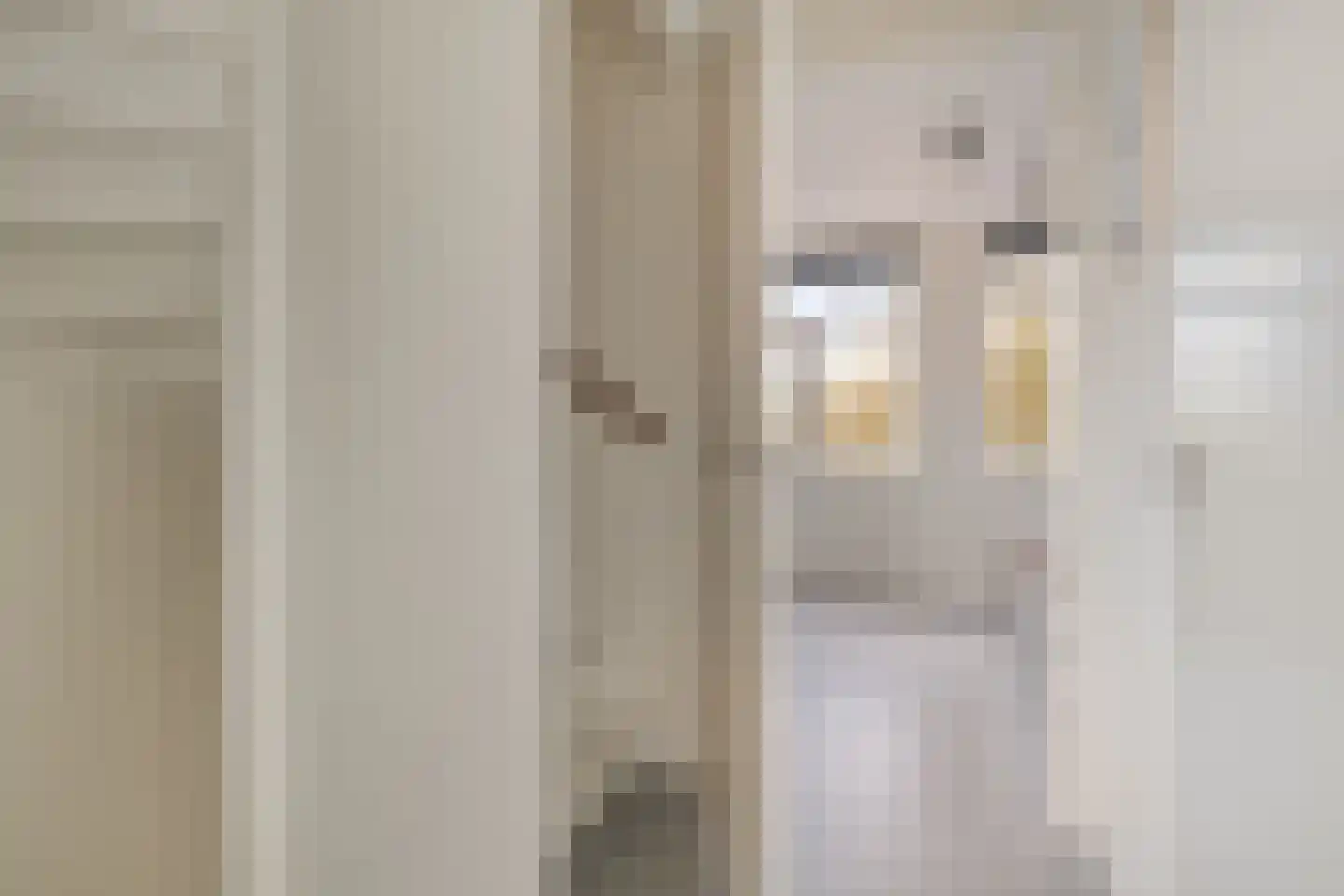 Pioenstraat 194 Groningen thumbnail 38