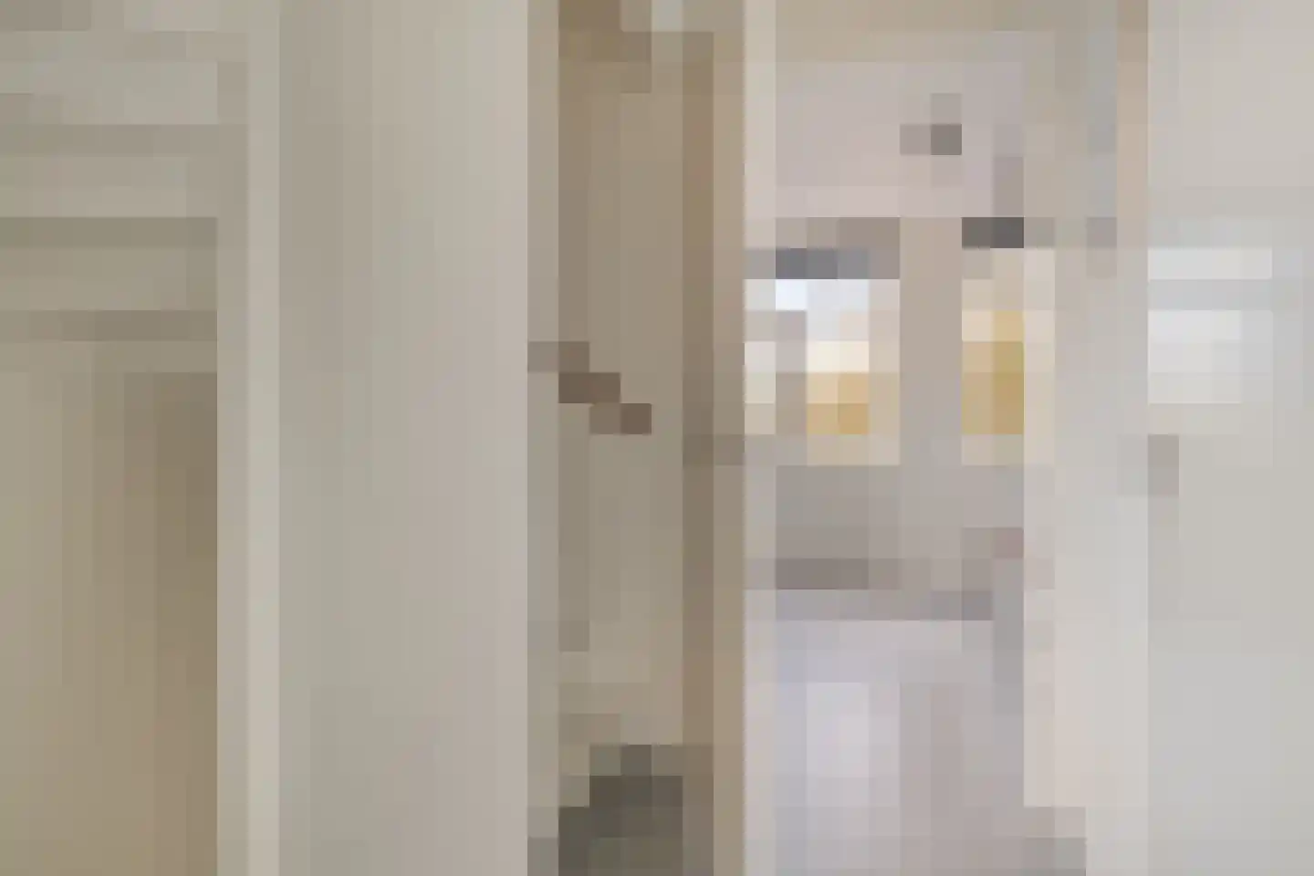Pioenstraat 194 Groningen thumbnail 38