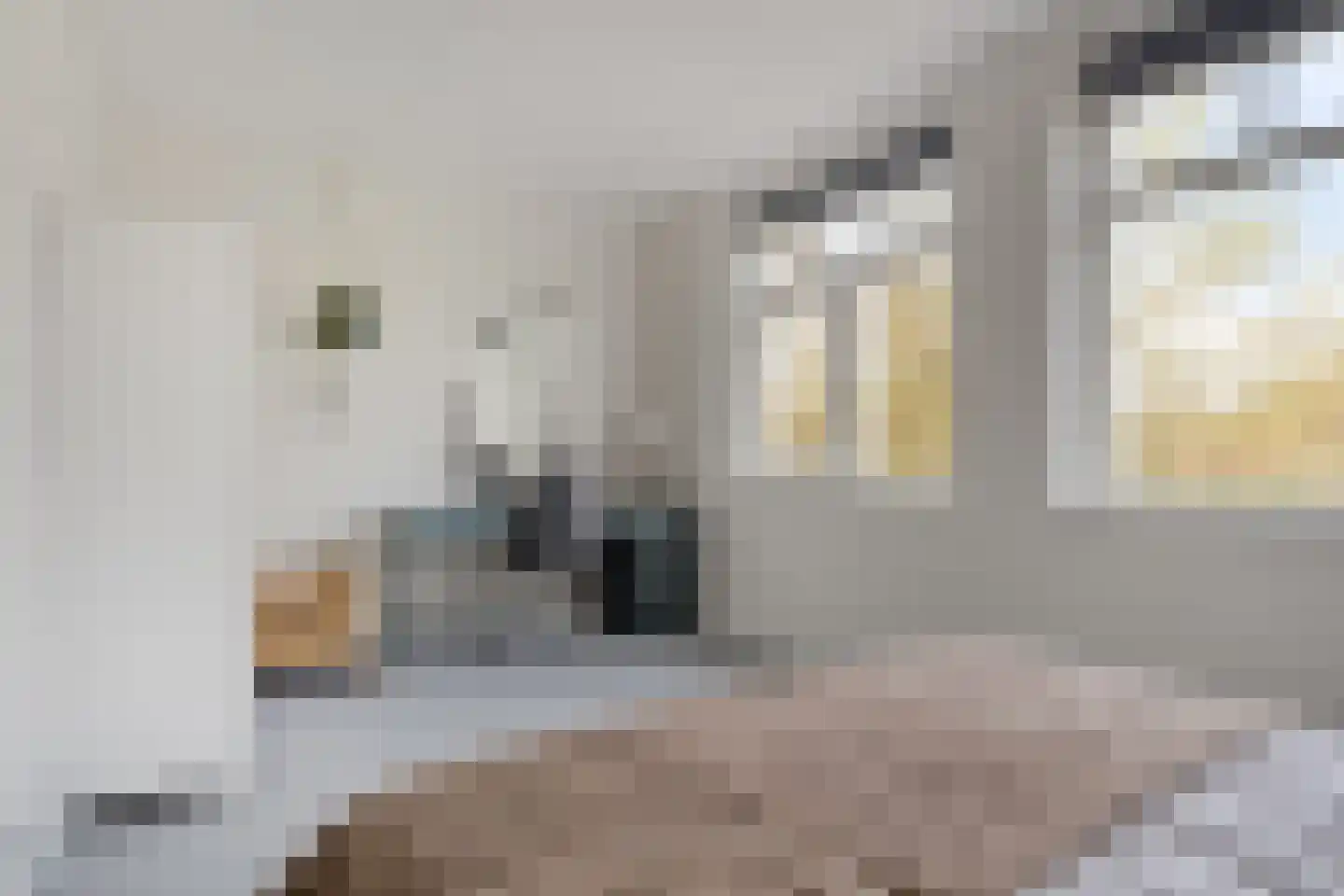Pioenstraat 194 Groningen thumbnail 41
