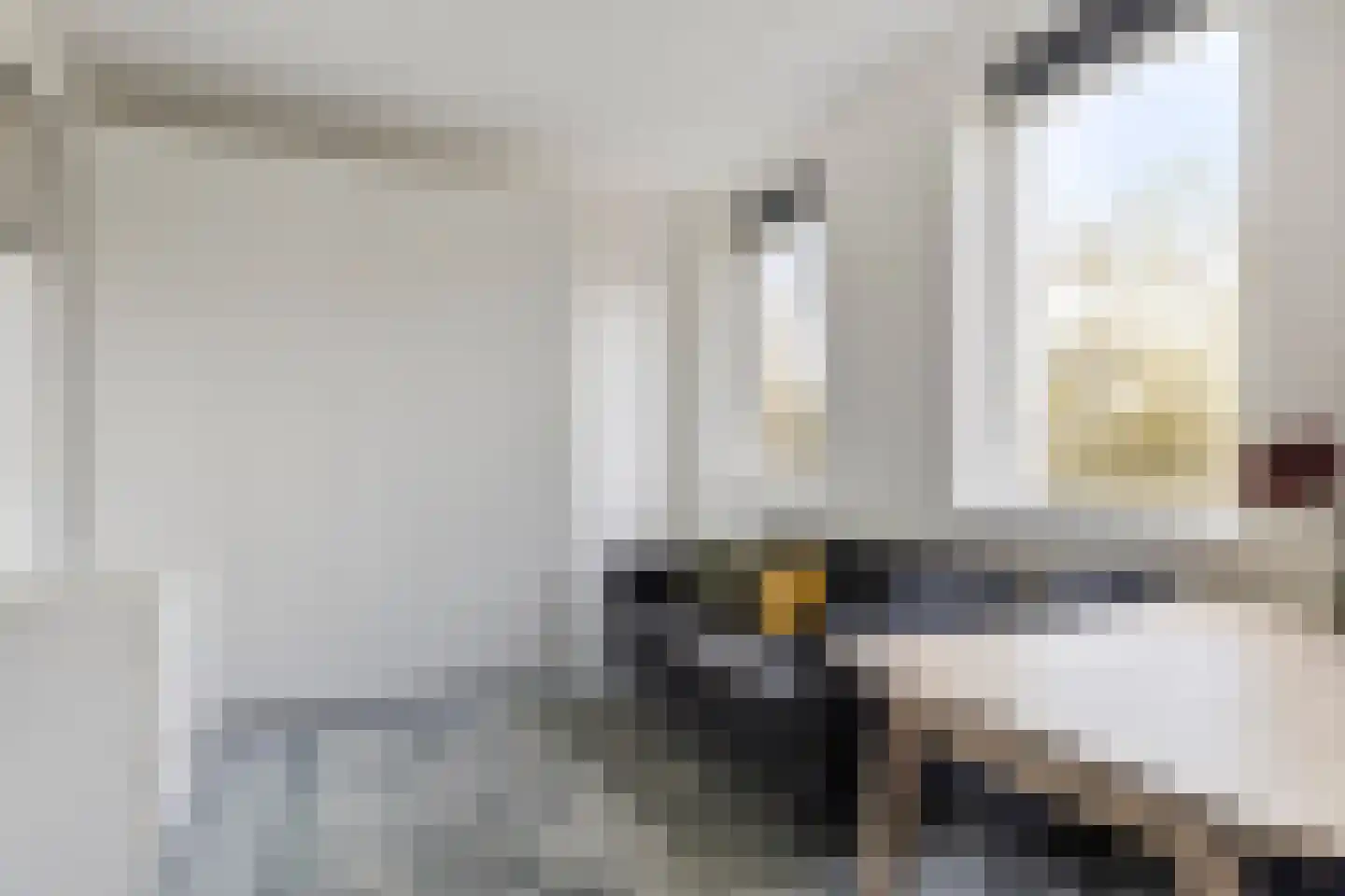 Pioenstraat 194 Groningen thumbnail 48