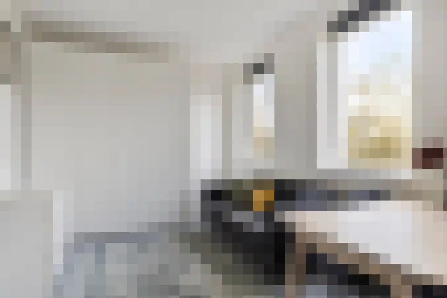 Pioenstraat 194 Groningen thumbnail 48