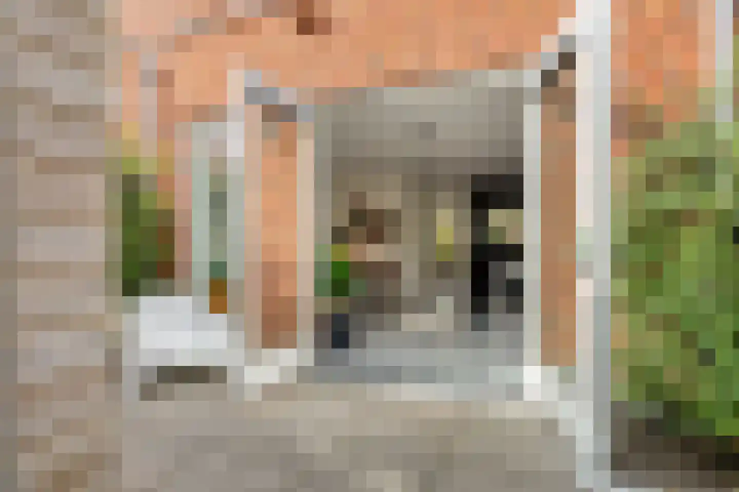 Pioenstraat 194 Groningen thumbnail 56