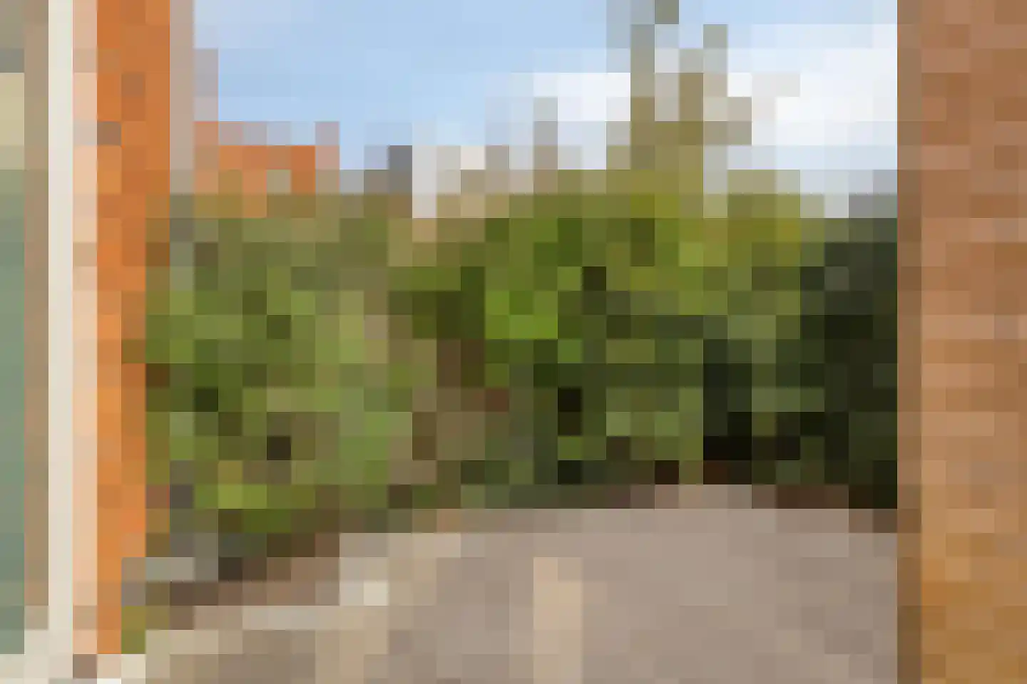 Pioenstraat 194 Groningen thumbnail 59