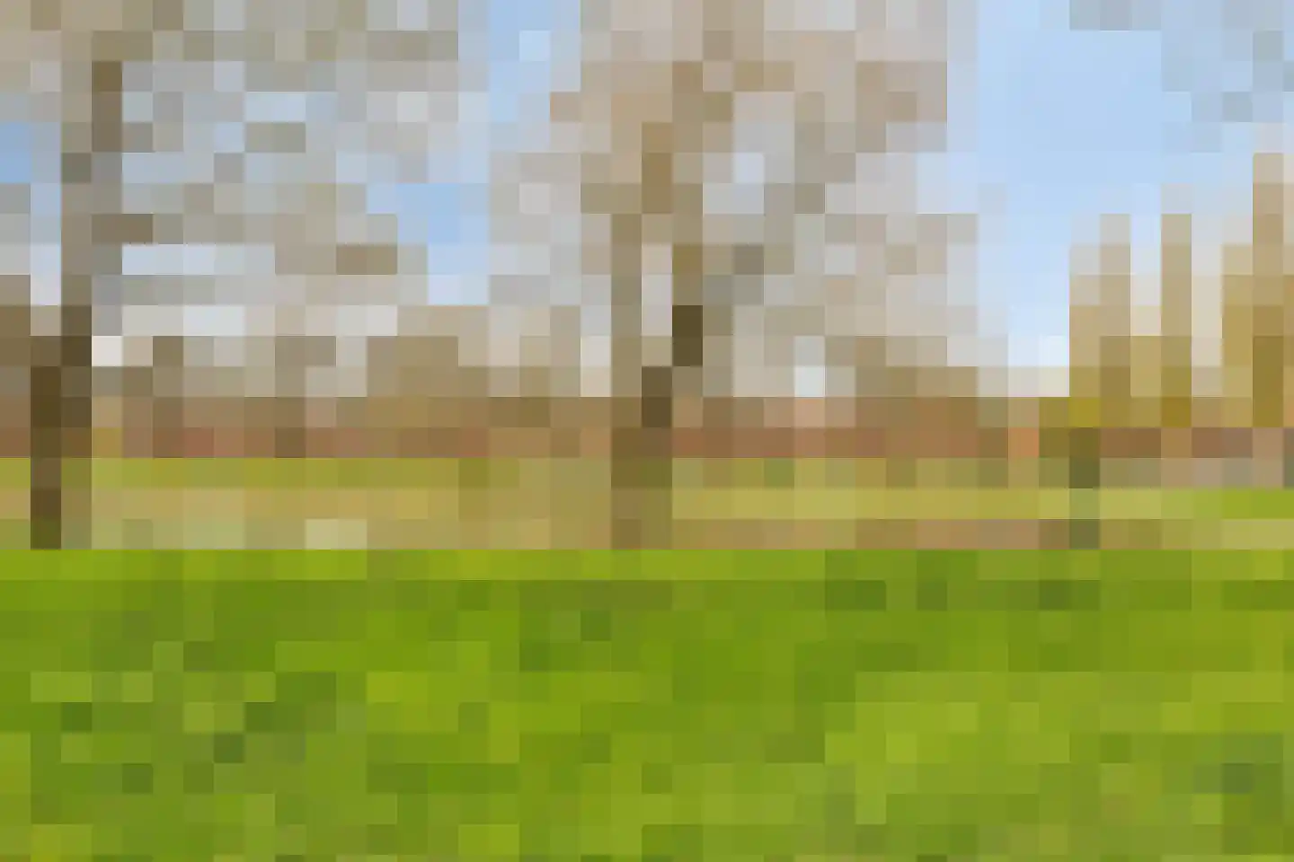Pioenstraat 194 Groningen thumbnail 65