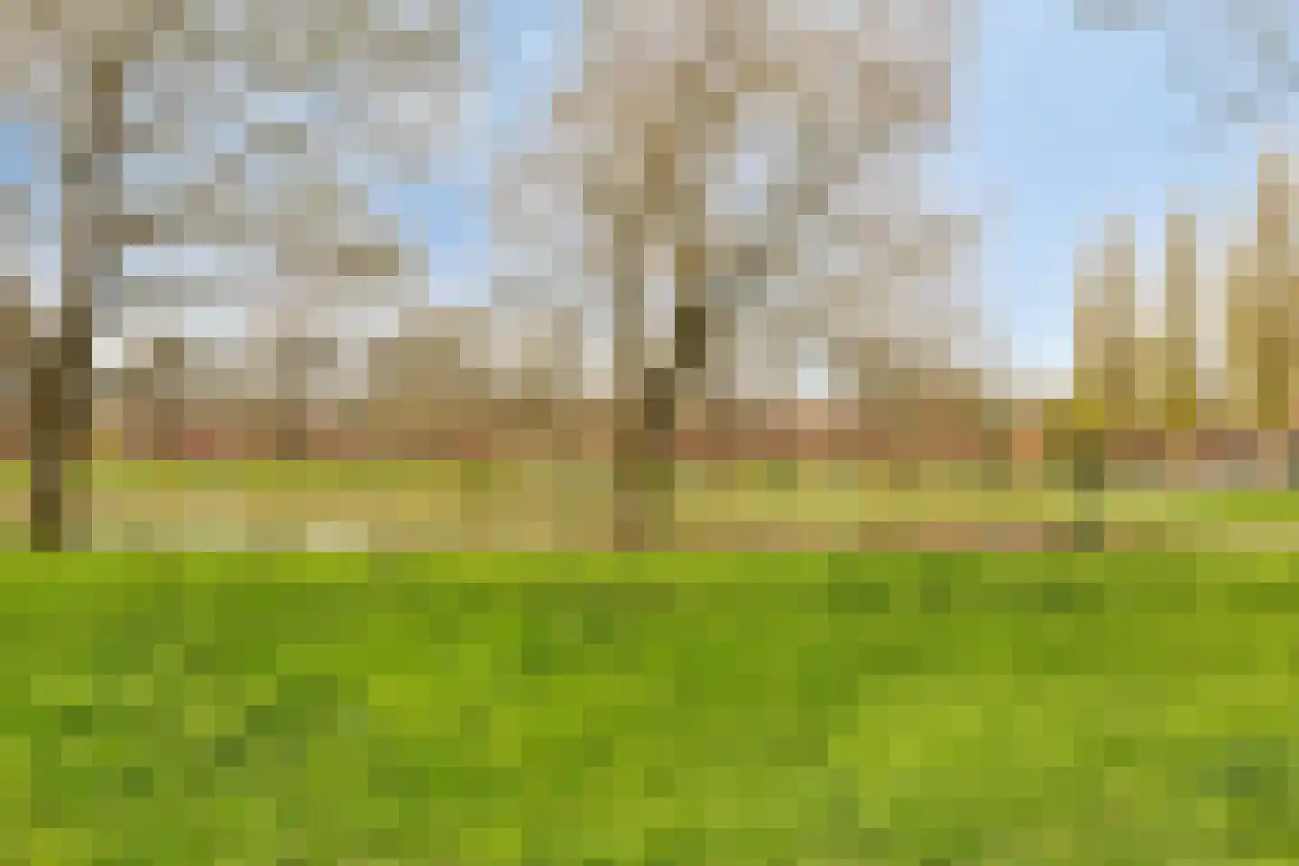 Pioenstraat 194 Groningen thumbnail 65