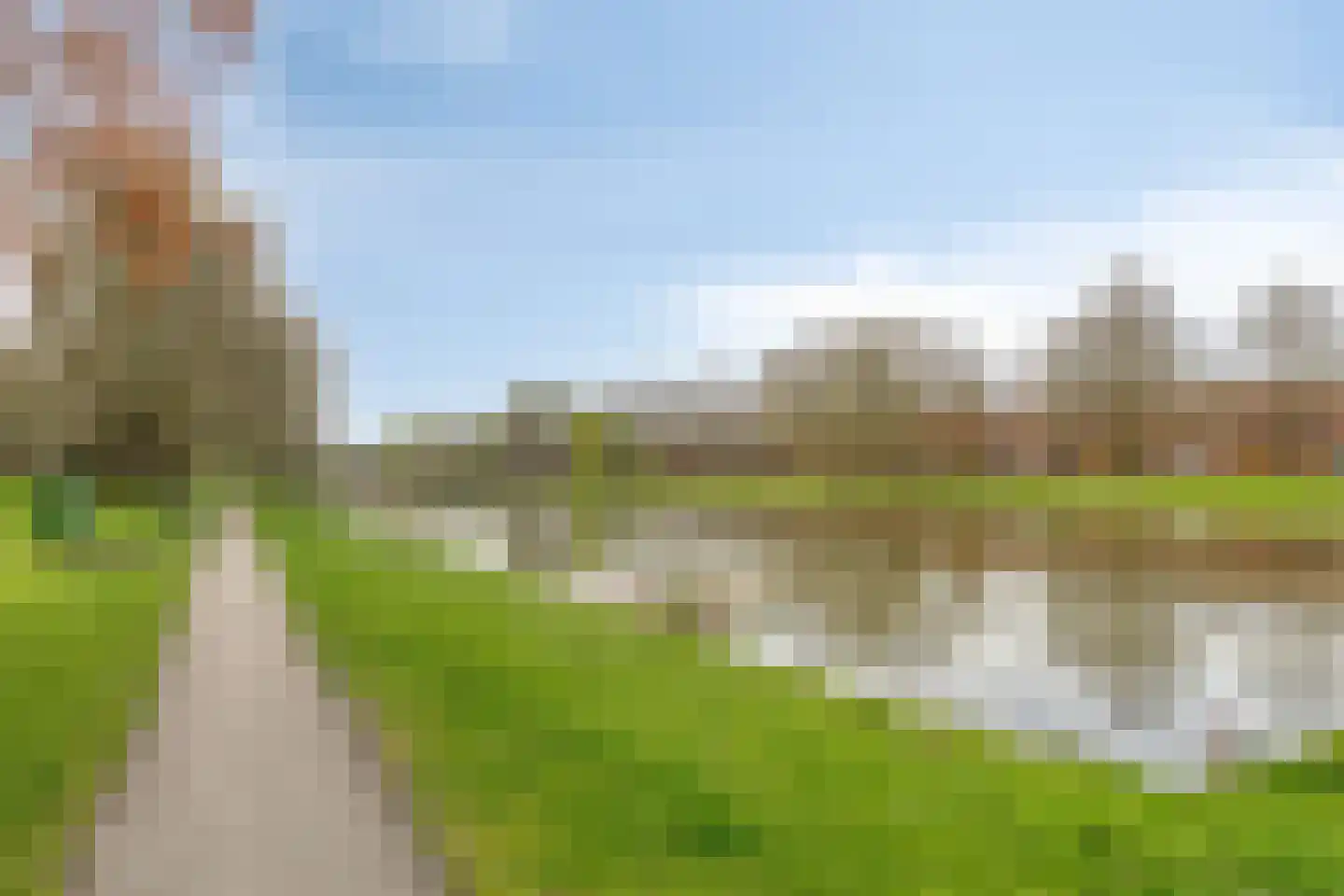 Pioenstraat 194 Groningen thumbnail 67