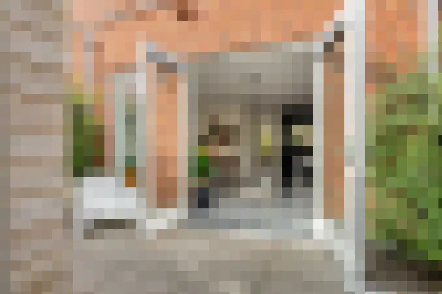 Pioenstraat 194 Groningen thumbnail 8