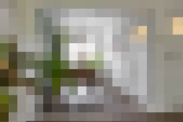 Pioenstraat 22 Groningen thumbnail 15