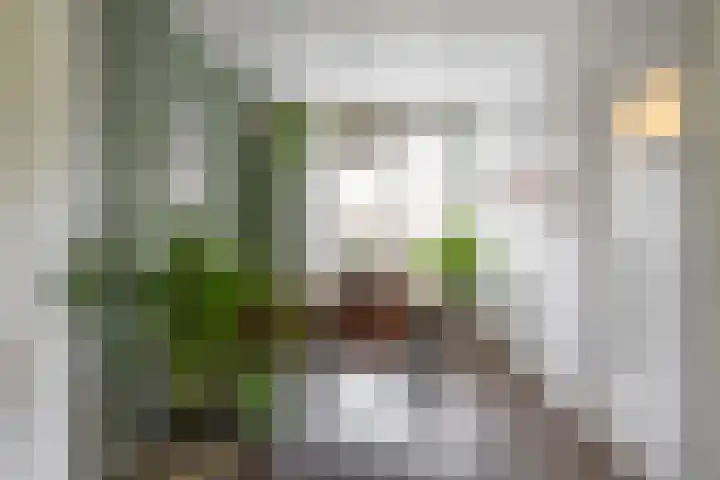 Pioenstraat 22 Groningen thumbnail 16