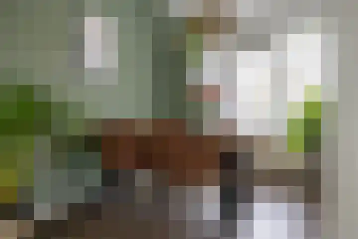 Pioenstraat 22 Groningen thumbnail 18