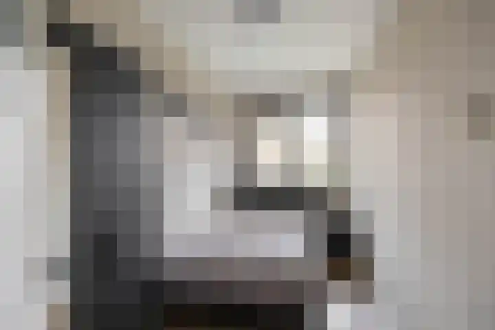 Pioenstraat 22 Groningen thumbnail 23